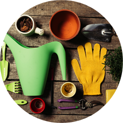 Lighting & Gardening